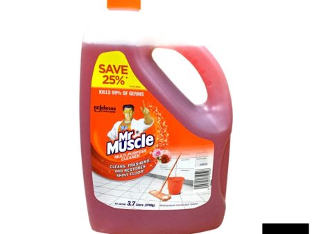 Mr Muscle All Purpose Cleaner 3.7L I Love You Fashion