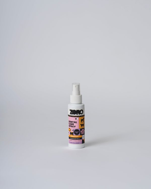 ZORO Dental Mouth Spray 100ml Online now